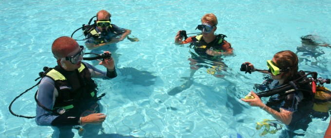 Easy Dive Booking: best diving eperience
