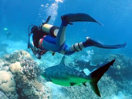 HOW TO CHOOSE THE BEST DIVING CENTRE ON YOUR DIVING HOLIDAY- TOP TEN TIPS